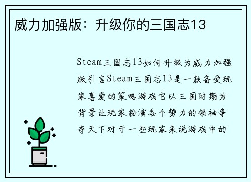 威力加强版：升级你的三国志13
